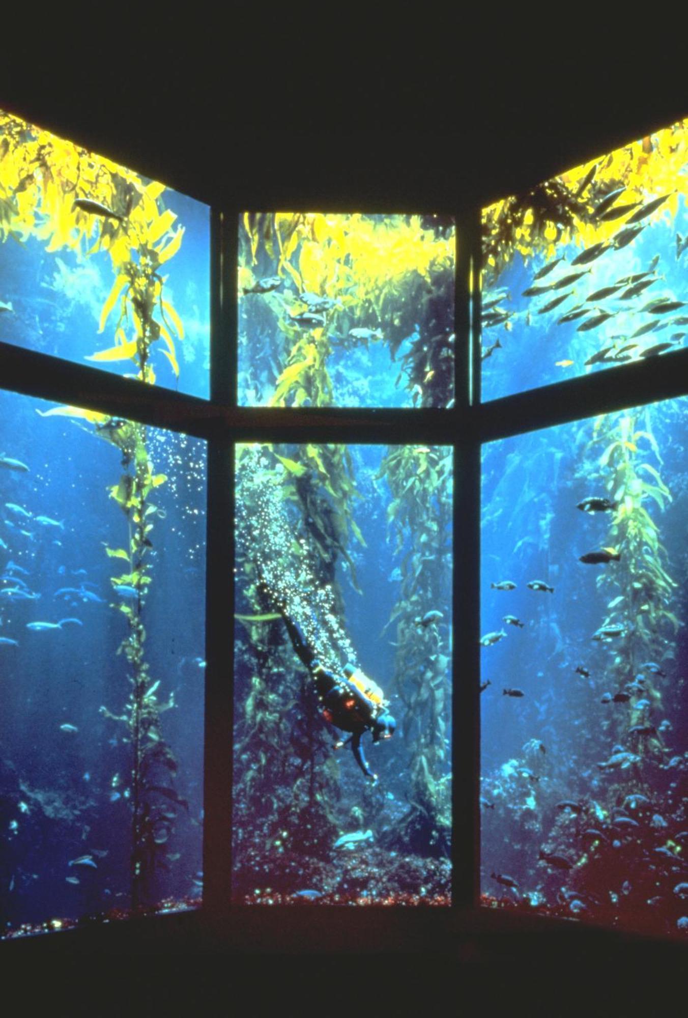 Monterey Bay Inn Bagian luar foto